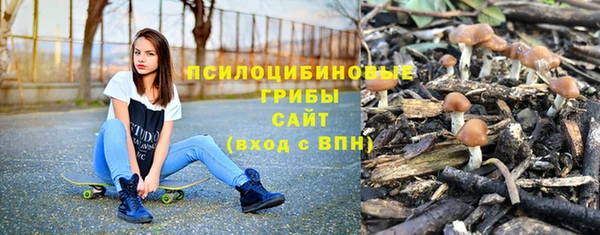 шишки Богородицк